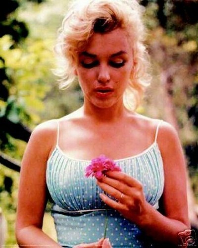Poster set marilyn rare - set,